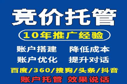 知名SEM公司案例分析：优化策略与成果